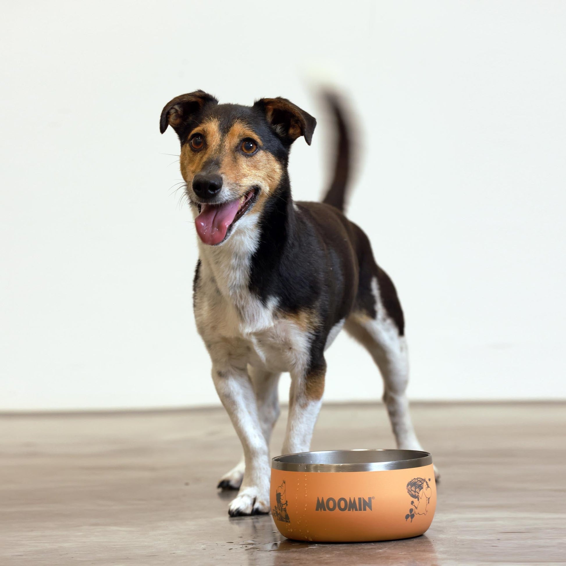 Peach Lunar Pet Bowl