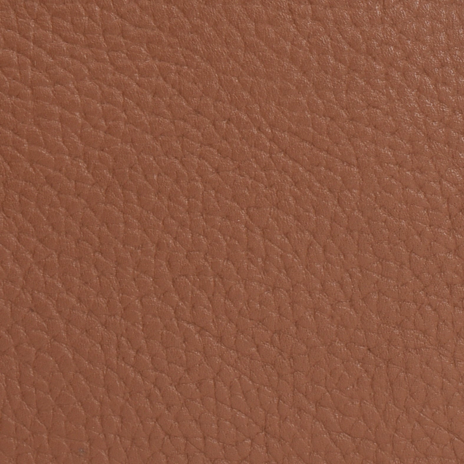 Camel Pebbled Leather Tote Bag
