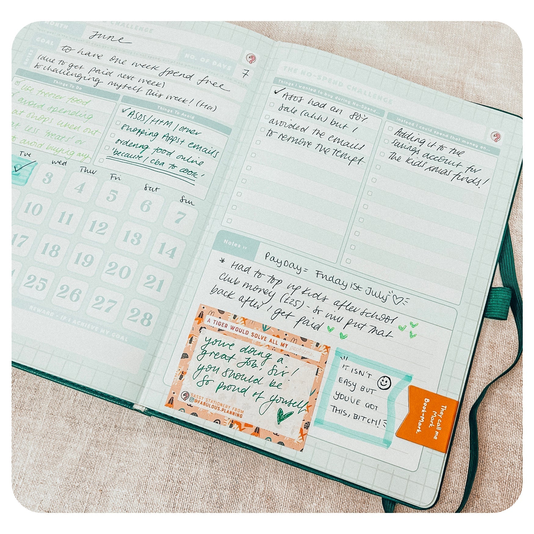 Deluxe Budget Life Journal