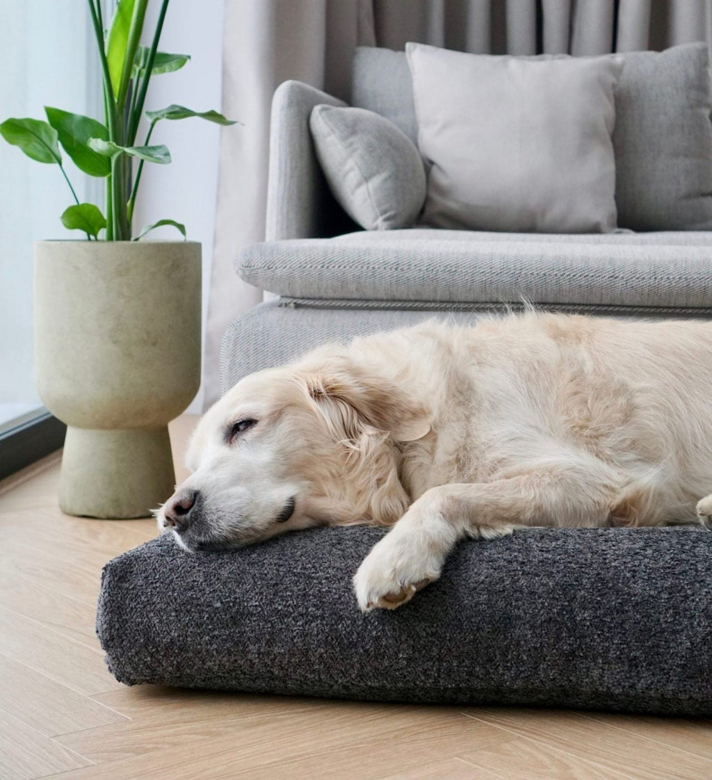 bold anthracite buklaa cushion with deep 3d texture on a modern sofa