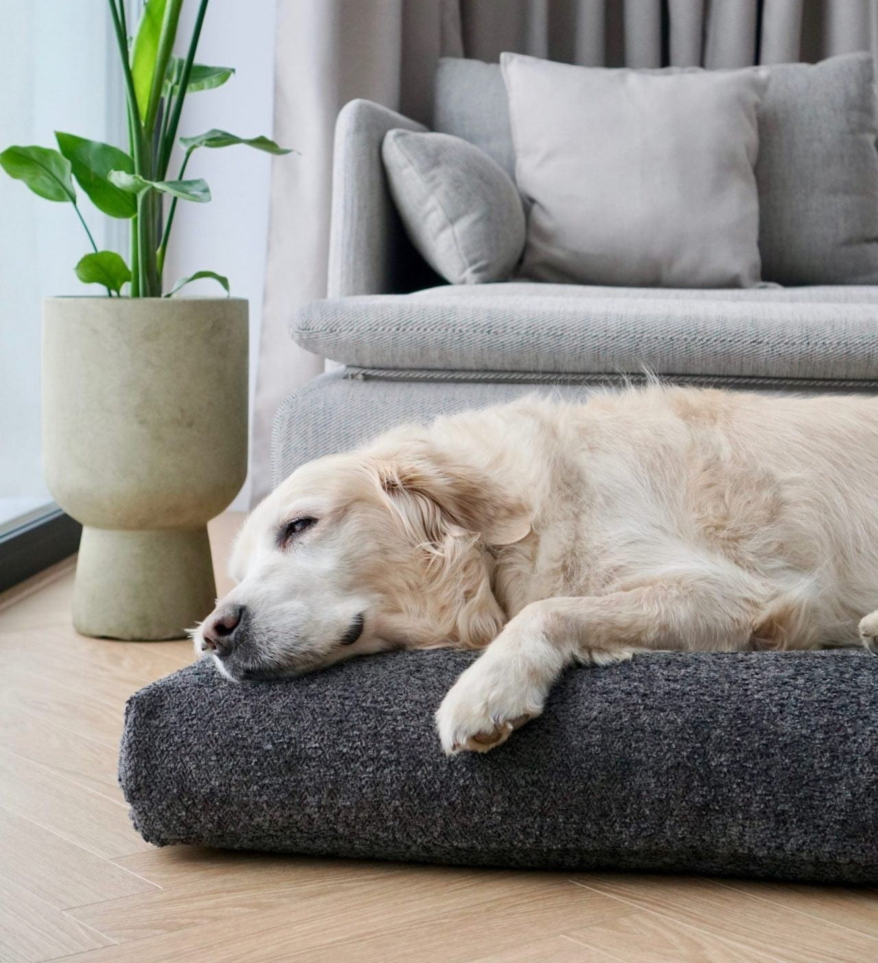 bold anthracite buklaa cushion with deep 3d texture on a modern sofa