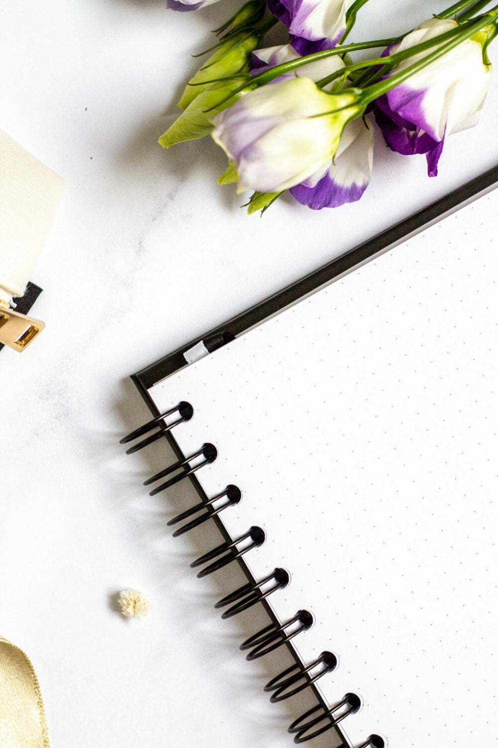 bold front view of a luxury vegan leather notebook with a sophisticated, confident look