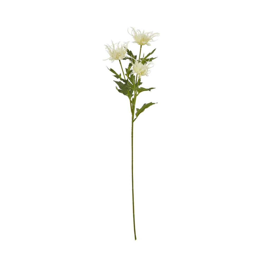 Cream faux sea holly spray with feathery blooms, 67 cm tall, for coastal home decor. by sostter at brixbailey.com