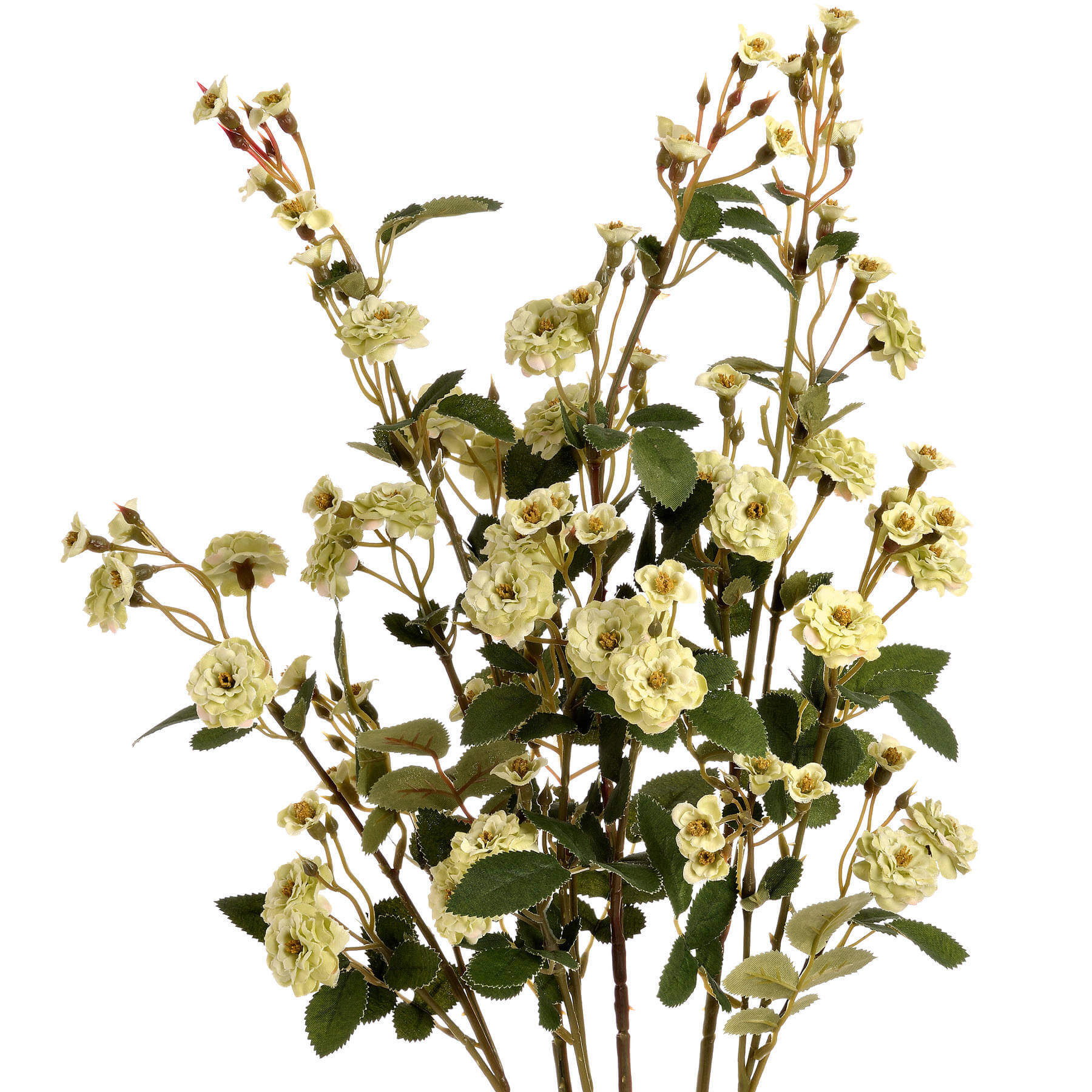 elegant faux wild green meadow rose stem in a minimalist vase, showcasing its refined botanical form