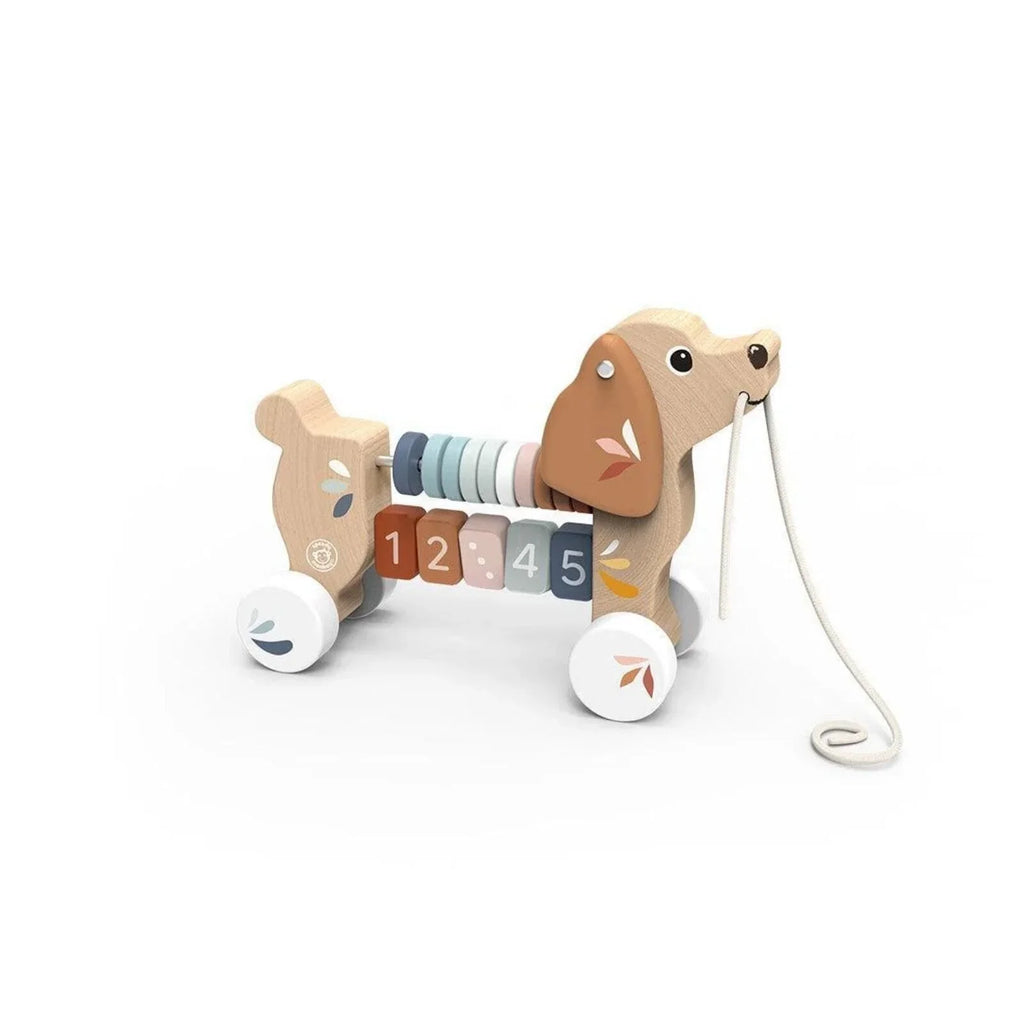 Puppy Pull Along Toy for Toddlers