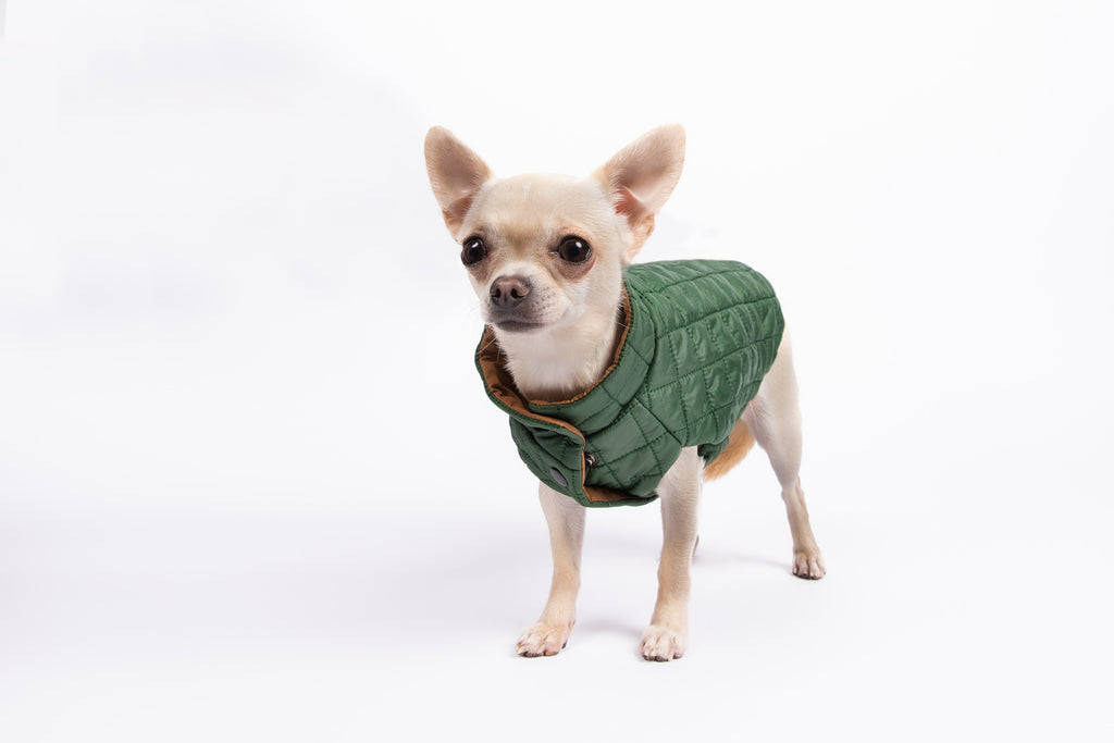 You Are Not Alone Sleeveless Puffer Jacket