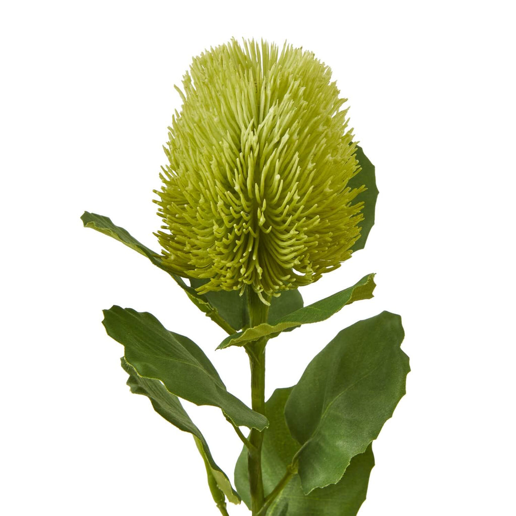 Artificial green Banksia stem, hyper-realistic faux botanical decor for modern farmhouse or boho interiors, 59cm tall (124 chars) by sostter at brixbailey.com