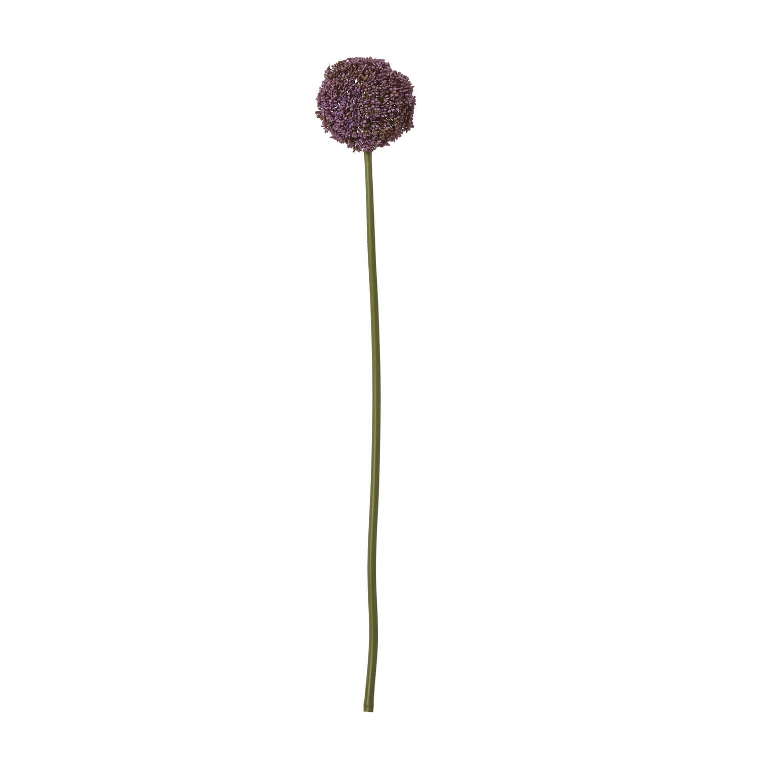Cream Giant Allium artificial stem with soft purple spherical bloom, 75cm tall, lifelike plastic floral decor for home or office by sostter at brixbailey.com