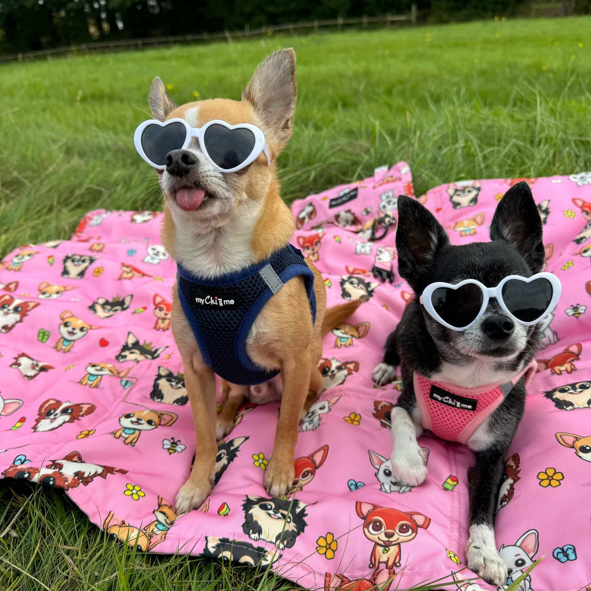 Step In Air Mesh Harness for Puppies and Small Dogs Navy