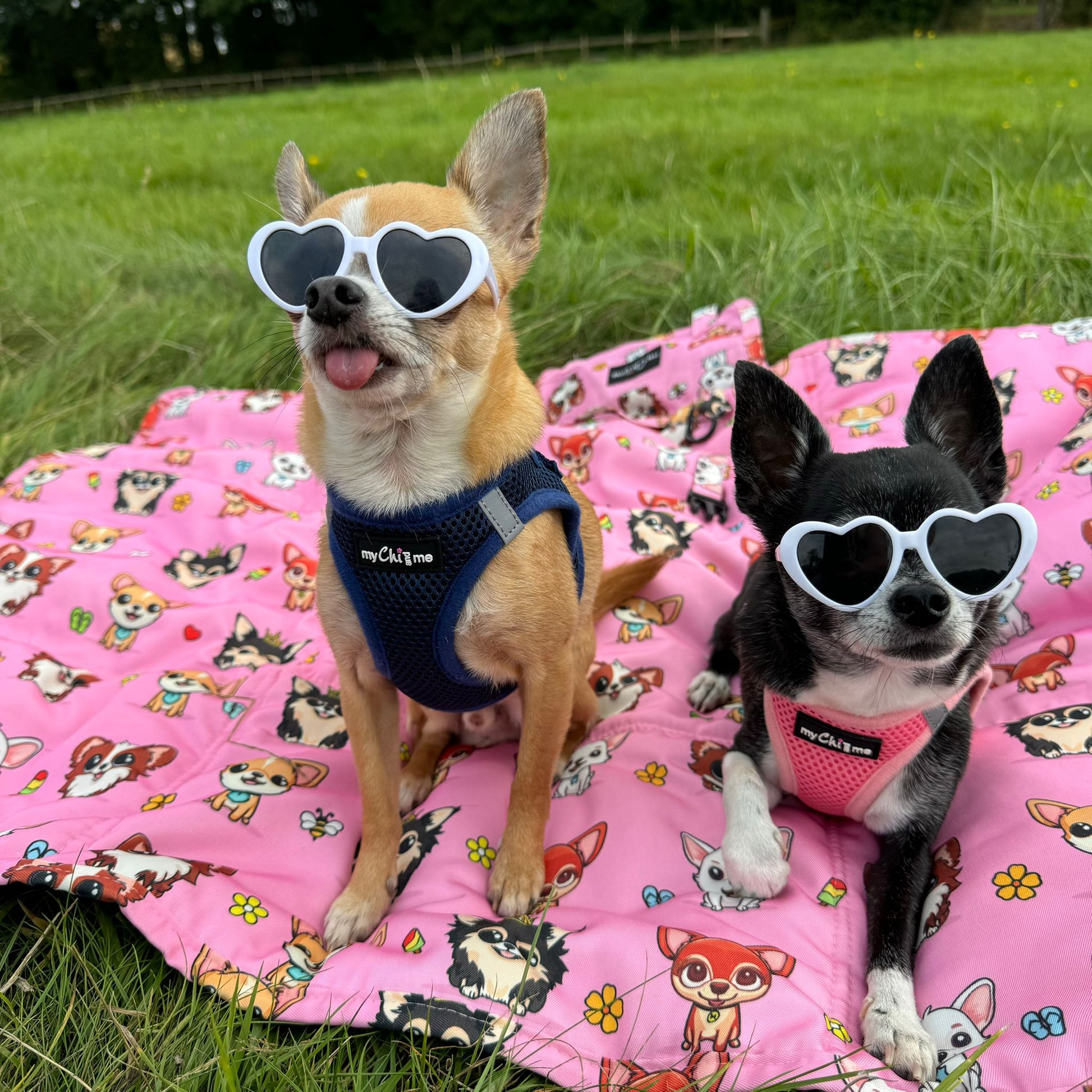 Tiny Trails Step In Air Mesh Puppy and Small Dog Harness in Pink