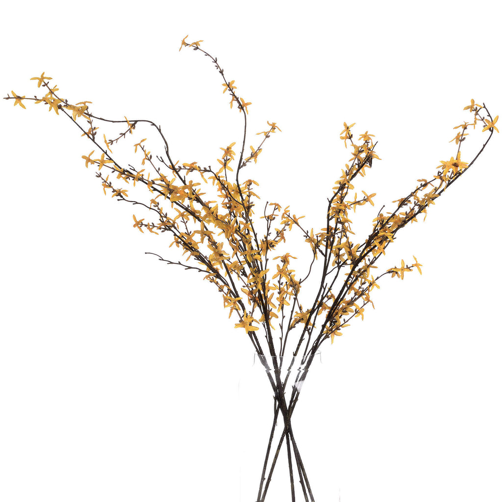 an elegant yellow forsythia stem in a minimalist vase against a soft grey backdrop