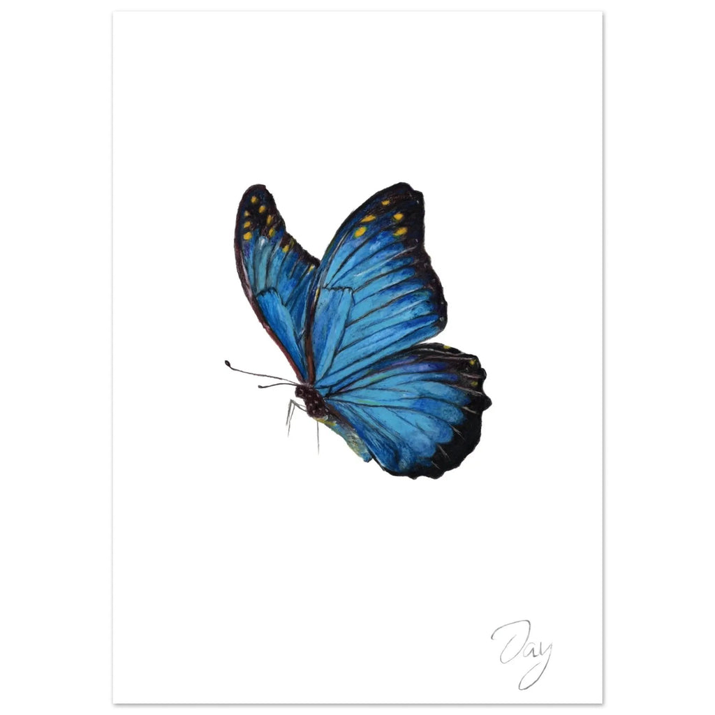 Blue Butterfly Signed Art Print A4