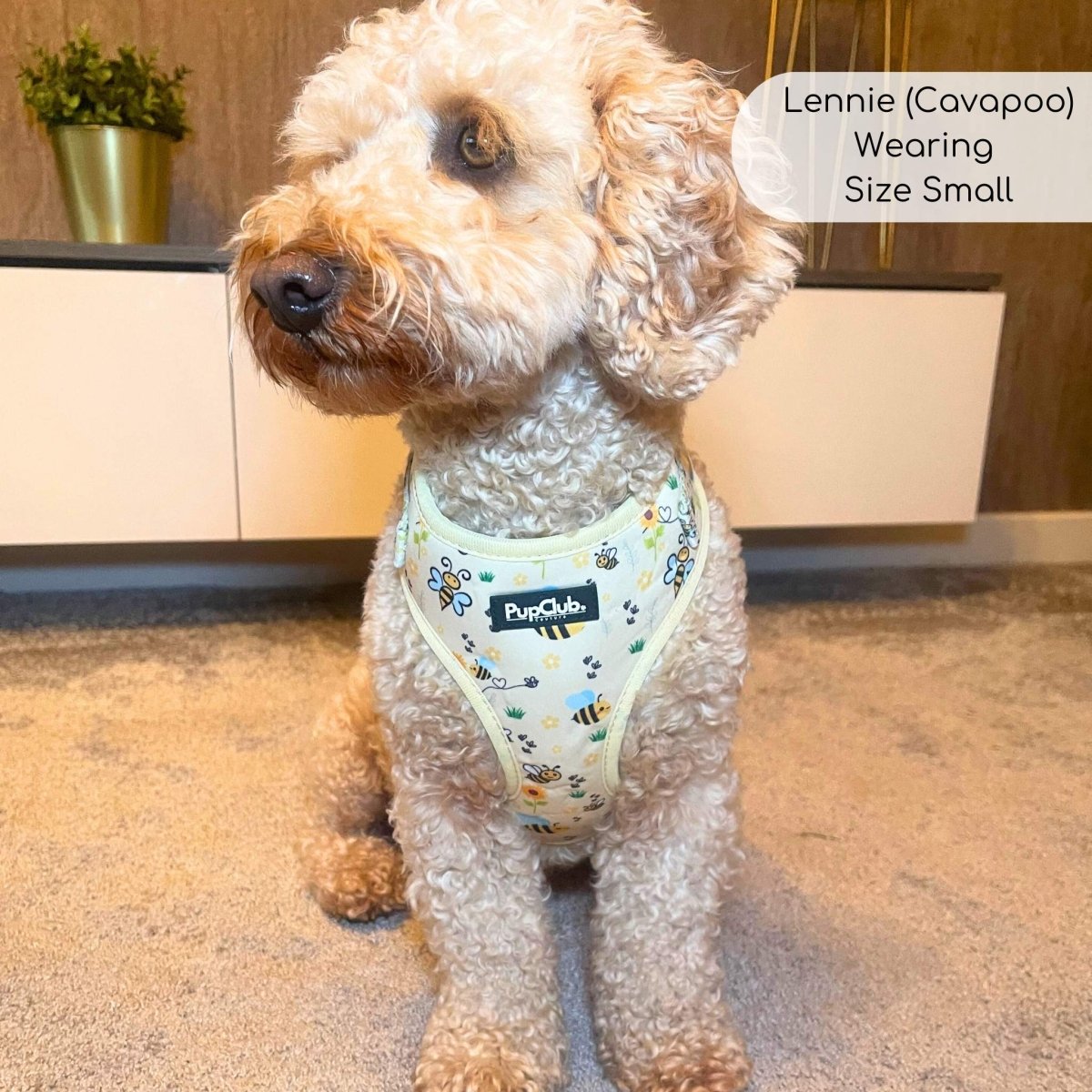 Bee-utiful Summer Adjustable Dog Harness