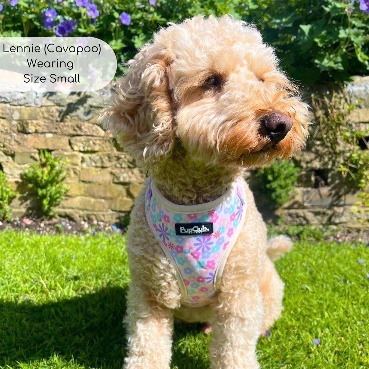 Pretty Petals Adjustable Dog Harness