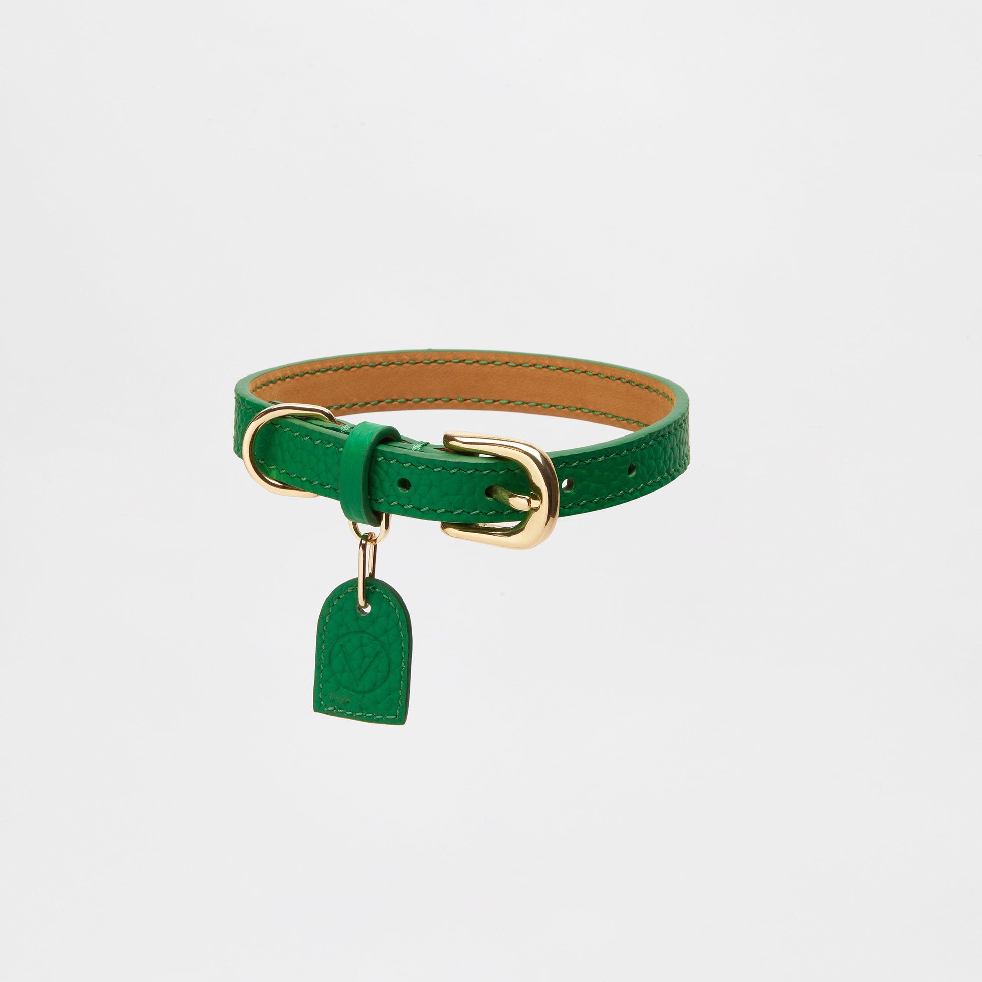 Leather Collar with Gold and Silver Hardware