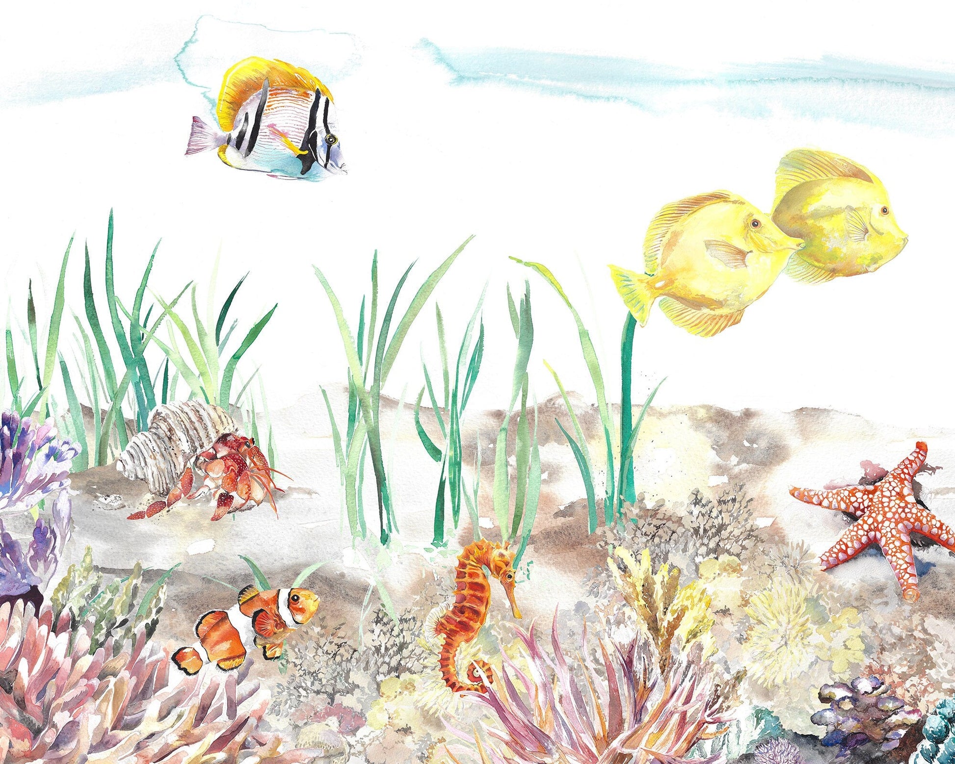 Coral Reef Underwater Mural Wallpaper