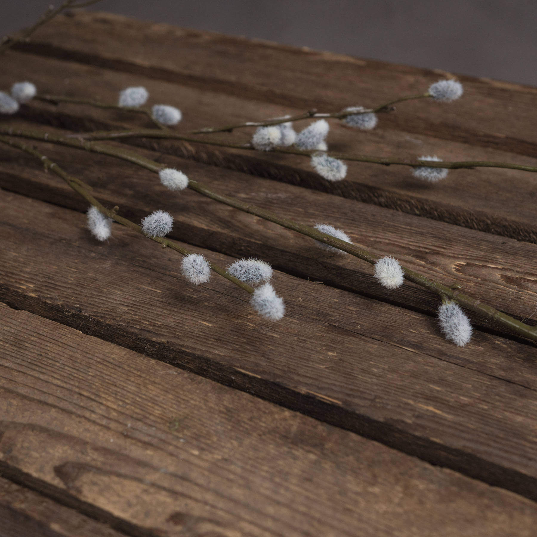 Lifelike grey pussy willow branch, 40.5 tall with realistic catkins, perfect for modern or farmhouse decor by sostter at brixbailey.com