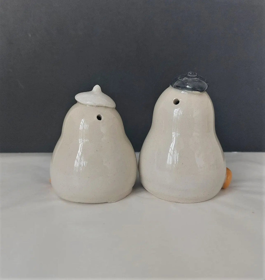 Salt and Pepper Shaker Ducks Set of 2
