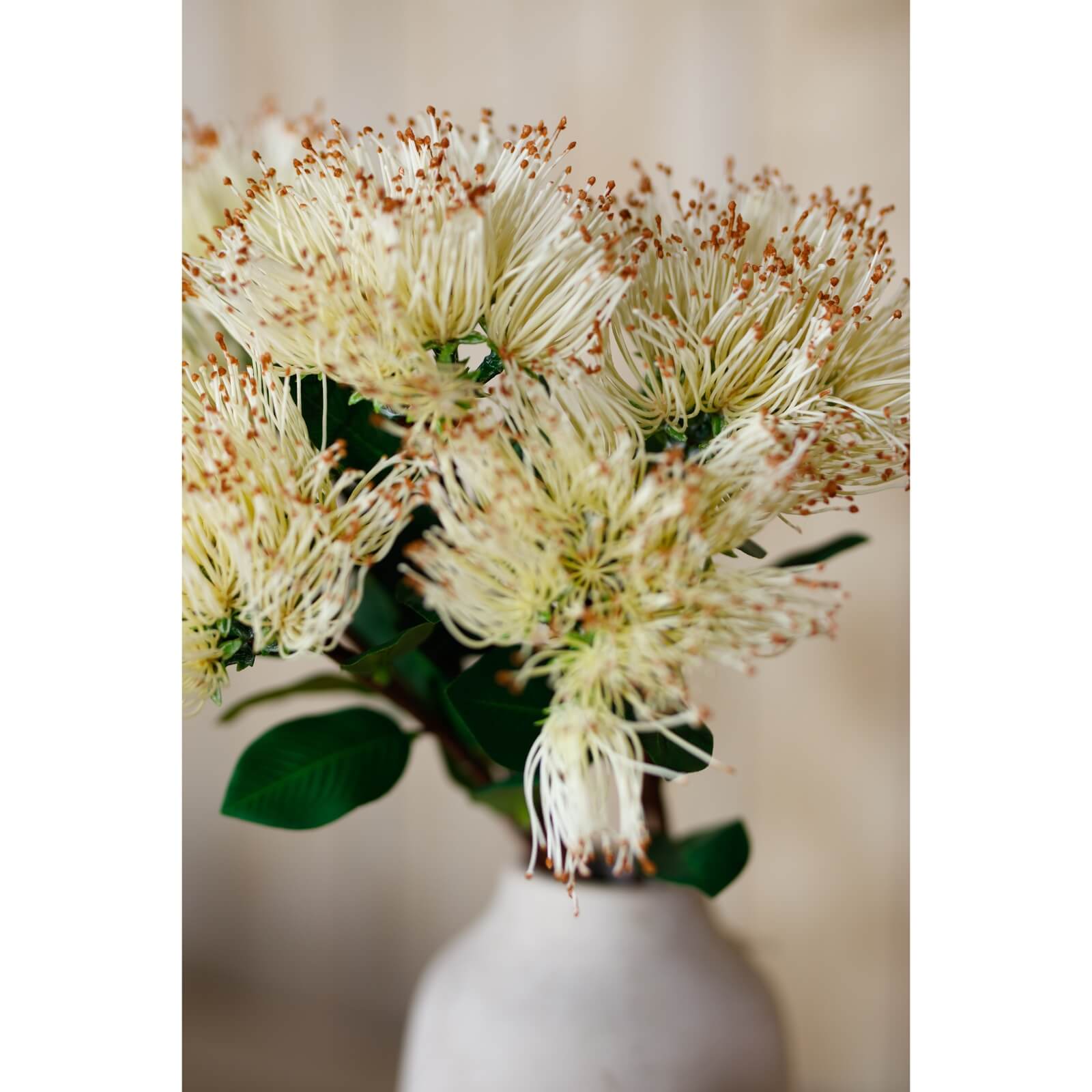 Creamy-white Protea Nitida stem with lush green leaves, lifelike plastic floral decor for elegant home arrangements. by Sostter at brixbailey.com