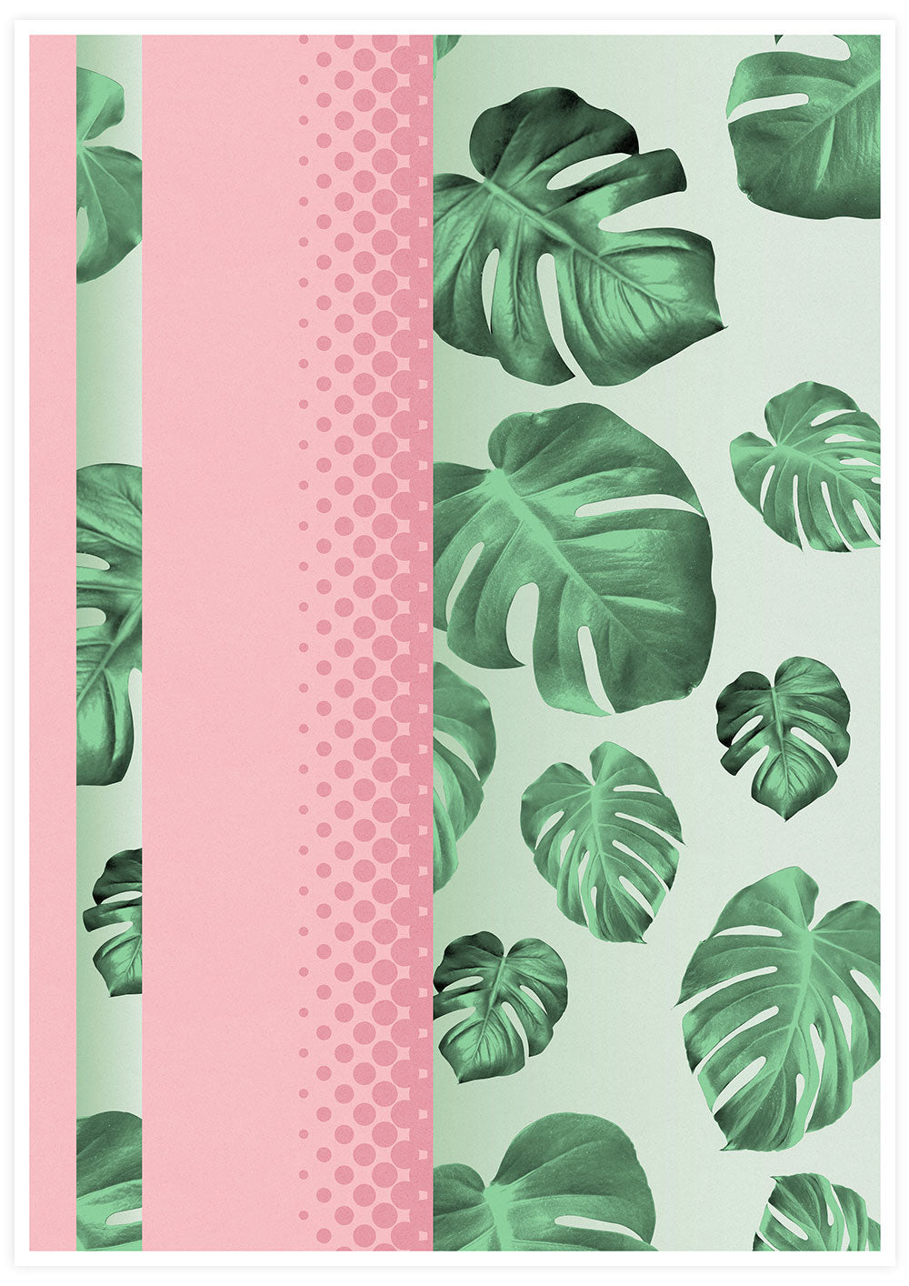 Cheese Plant Botanical Art Print