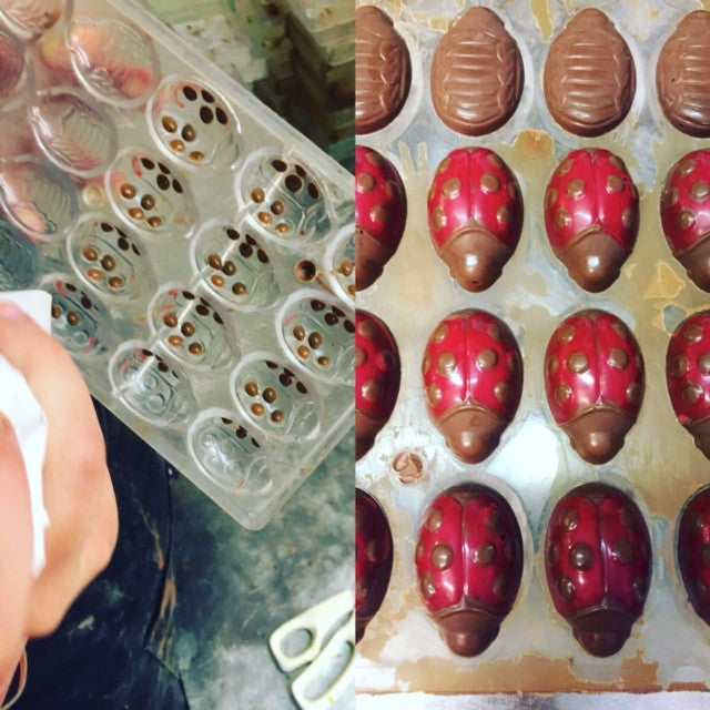 Milk Chocolate Ladybirds