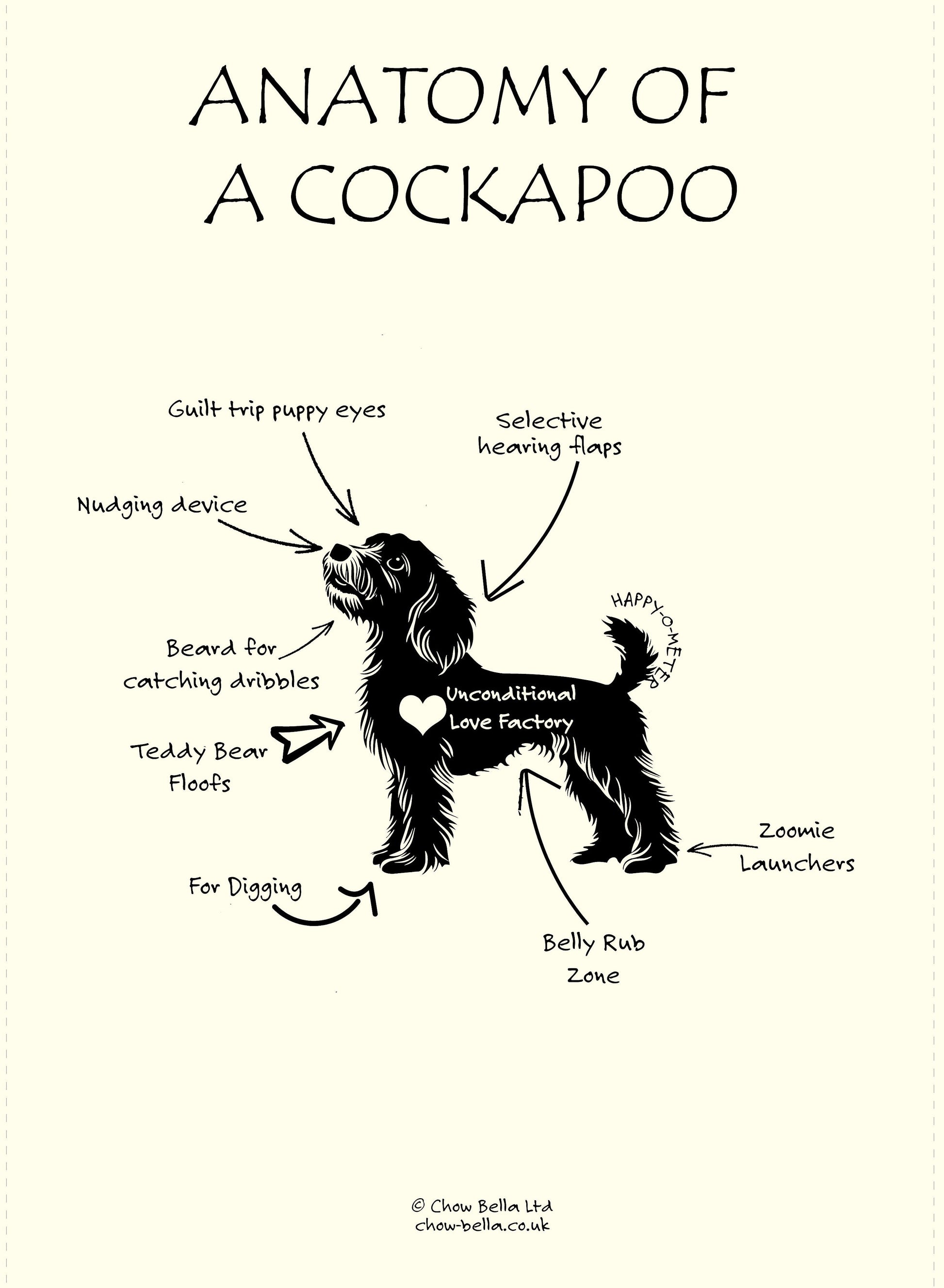 Anatomy of a Cockapoo Tea Towel – Fairtrade Organic Cotton Dog Lover Gift UK