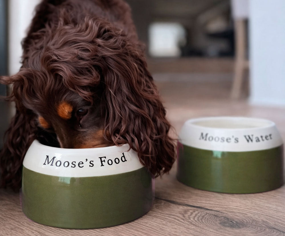 Personalised Ear-Free Cocker Spaniel Dog Bowl – Handmade Ceramic Bowl