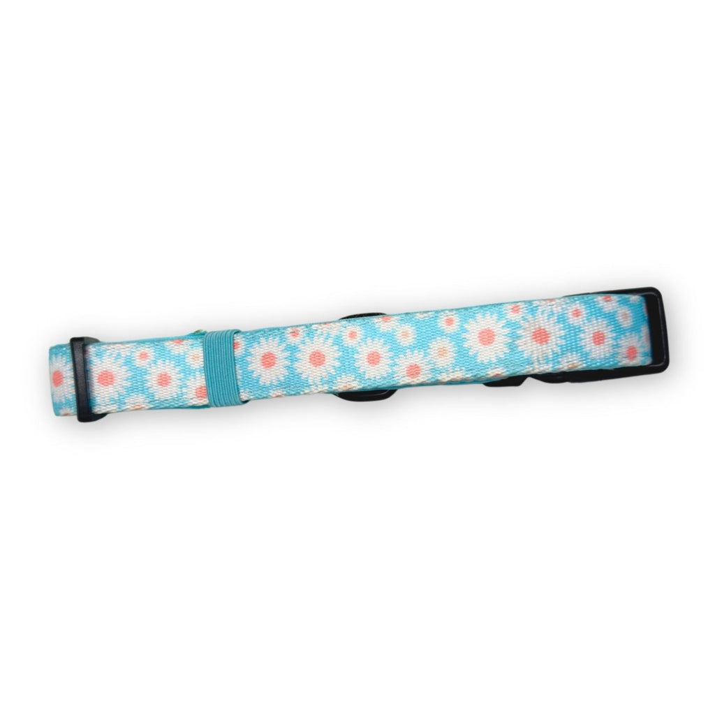 Pastel Daisy Dog Collar