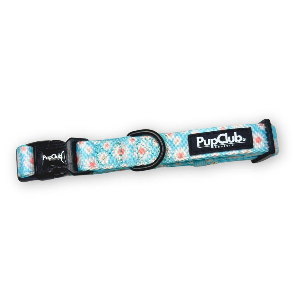 Pastel Daisy Dog Collar