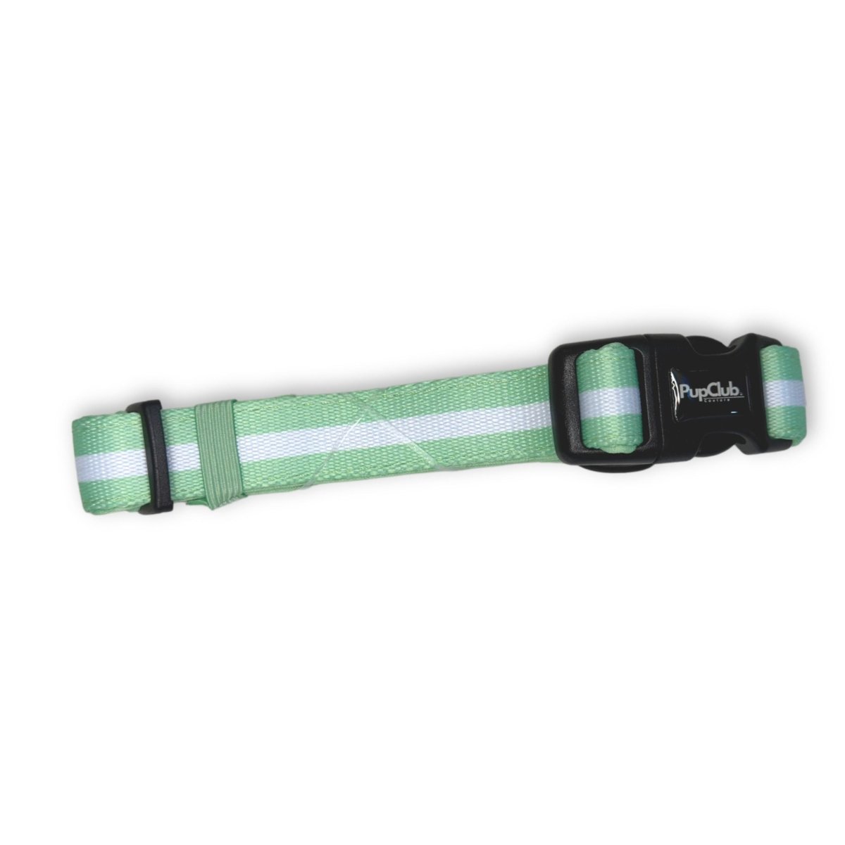 Pastel Mint Collar with White Stripe