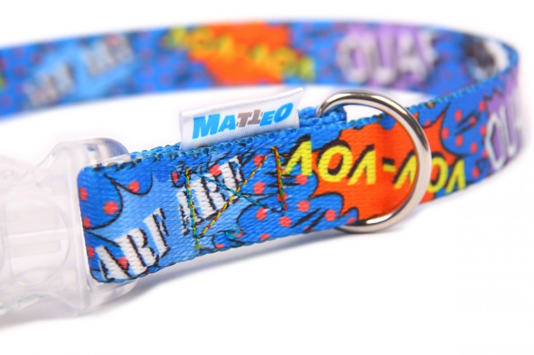 bold blue graffiti led dog collar glowing confidently on a dark urban street