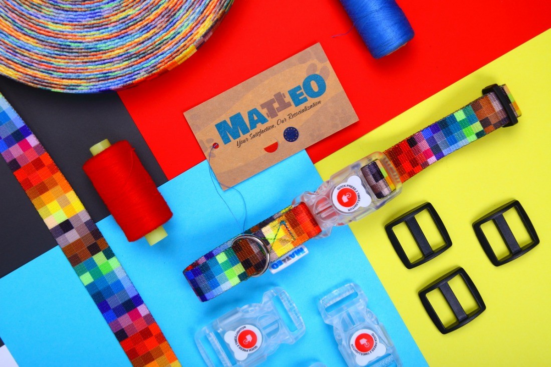 a matteo dog modeling the led collar with its clear plastic buckle glowing on a functional dark background
