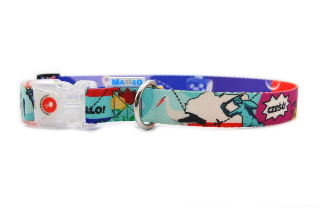 functional led dog collar with a glowing buckle on a durable matte black strap