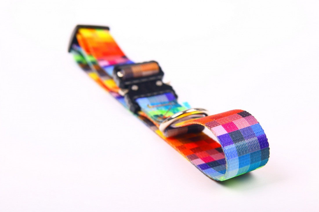 bold close-up of a durable dog collar with a gleaming metal buckle on a dark background