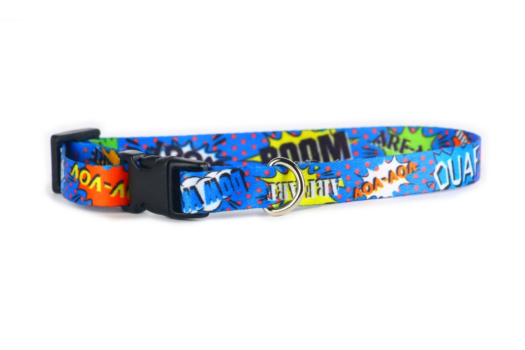 bold blue graffiti dog collar with glossy nickel hardware on a dark background