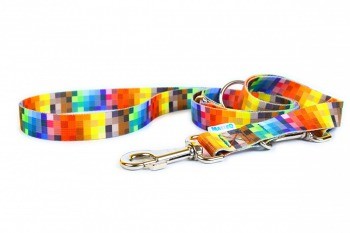 playful dog modeling the durable pixels collar with its shiny plastic buckle on a sunny walk
