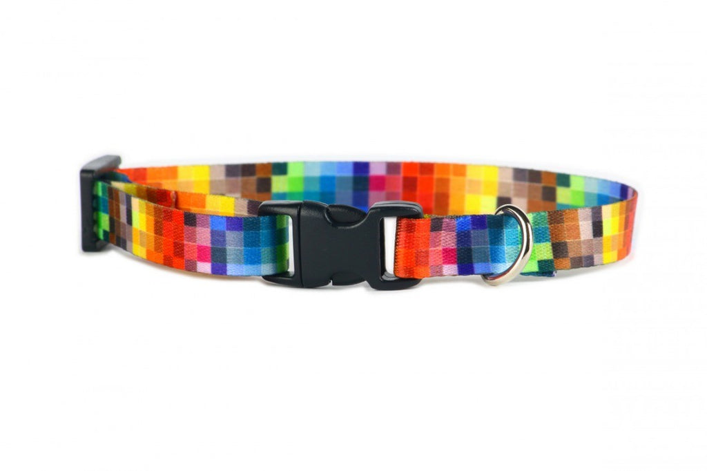 functional durable pixels dog collar with plastic buckle shown in a well-lit workshop setting