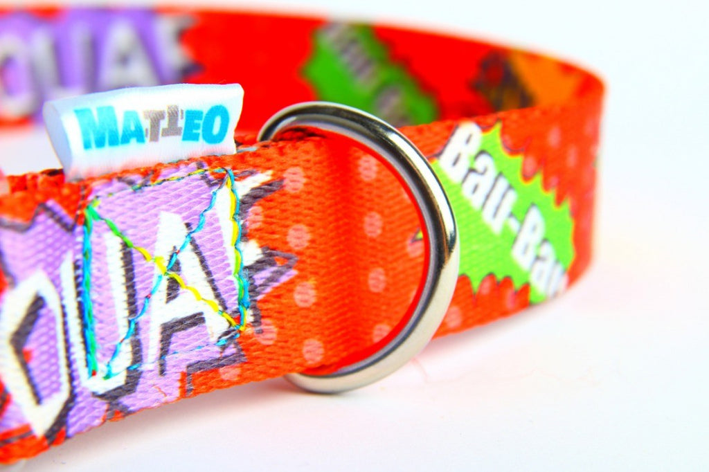 close-up of a durable red graffiti dog collar with a glossy nickel-plated buckle