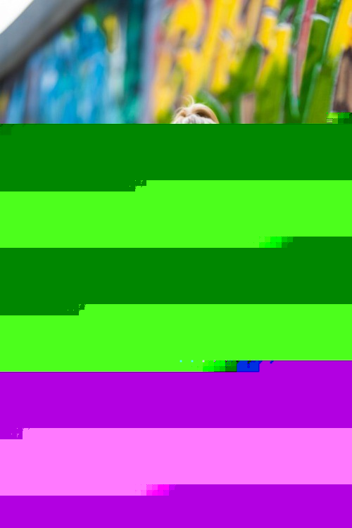 functional red graffiti dog collar with durable buckle and nickel handle for secure walks