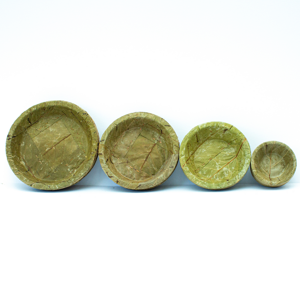 Sal Leaf Combo Pack Four Sizes 20 Pieces