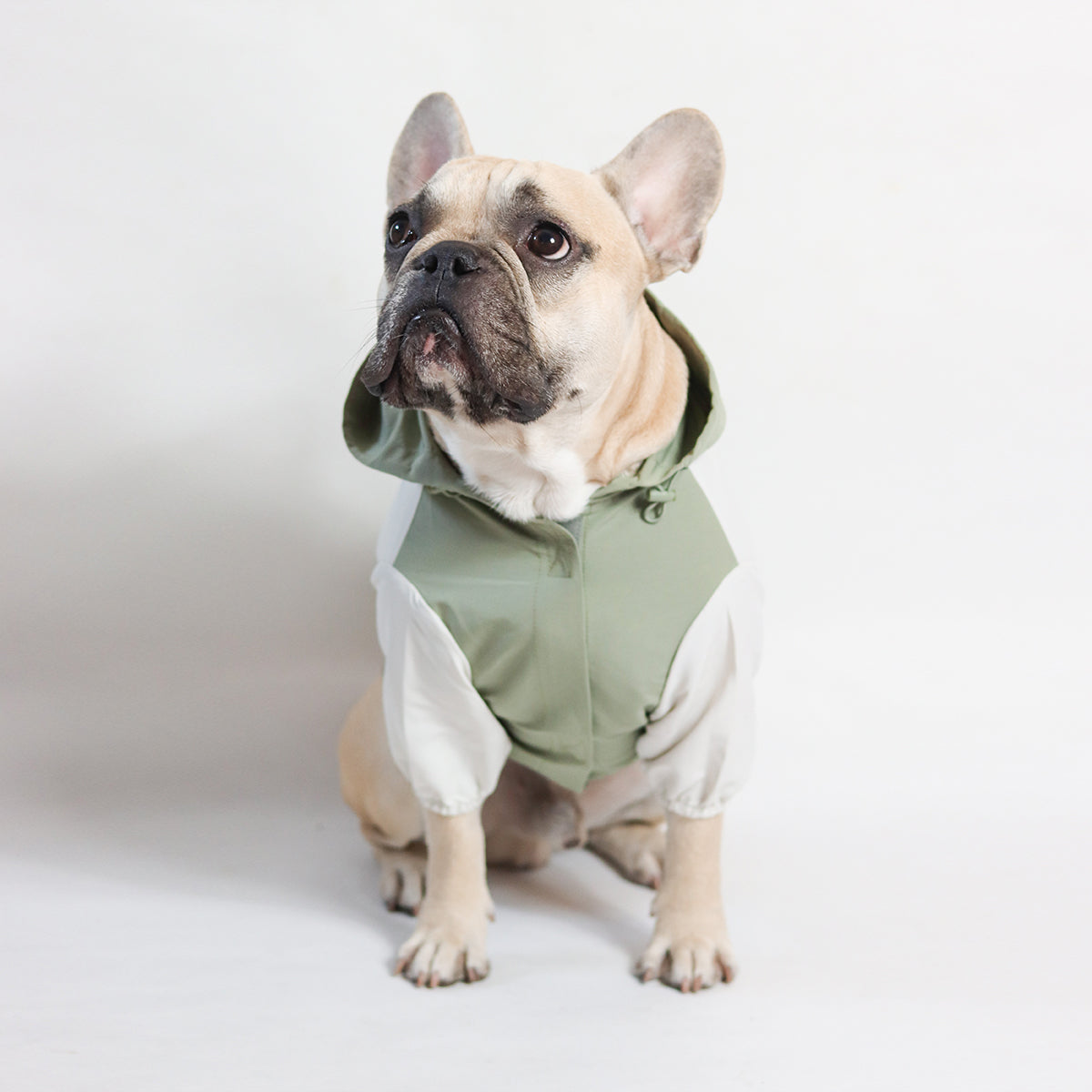 Thin Coat Water Resistant Green and White with Hoodie