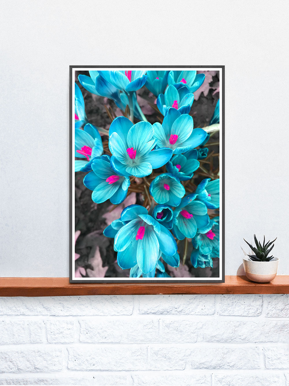 Blue Crocus Flower Art Print