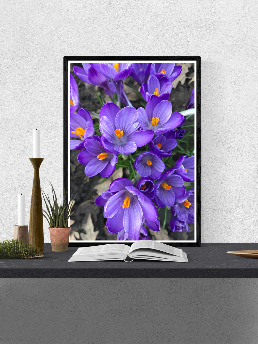 Purple Crocus Flower Art Print