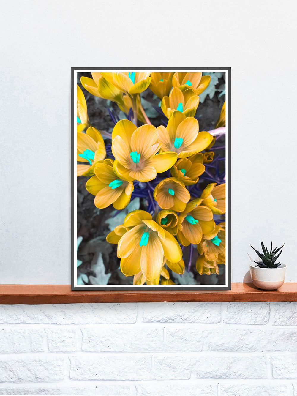 Yellow Crocus Flower Art Print