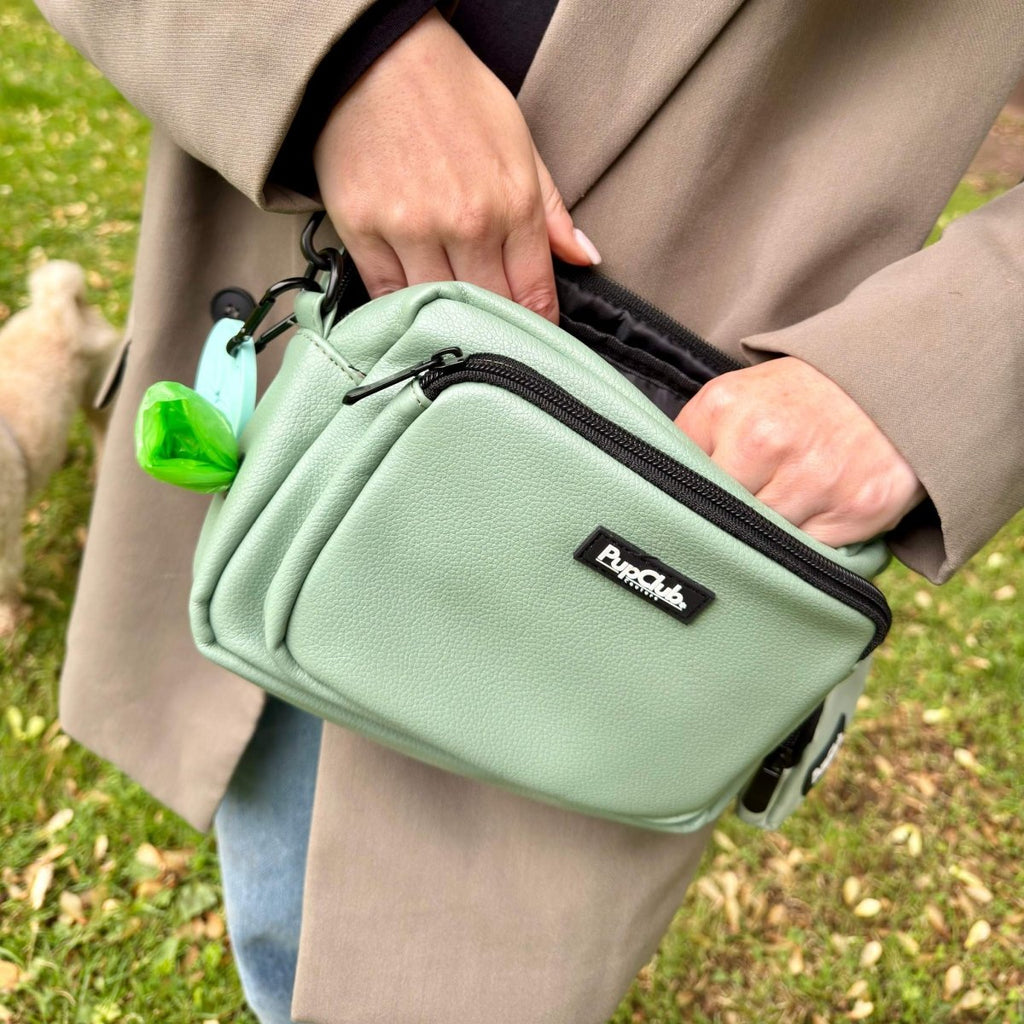 Sage Green Vegan Leather Crossbody Dog Walking Bag