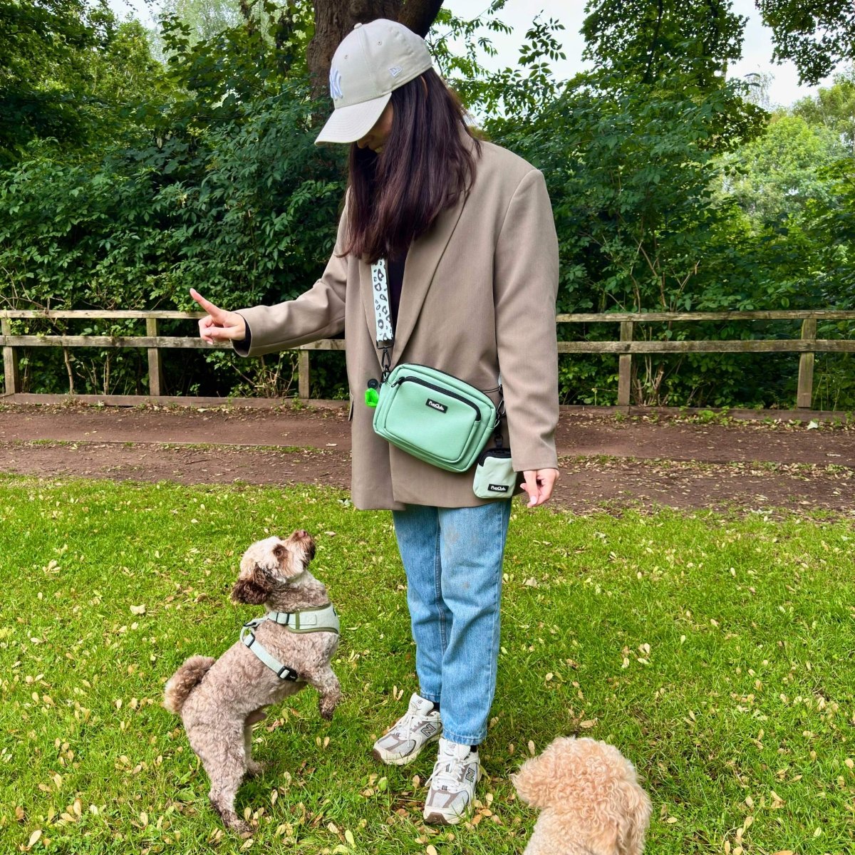 Sage Green Vegan Leather Crossbody Dog Walking Bag