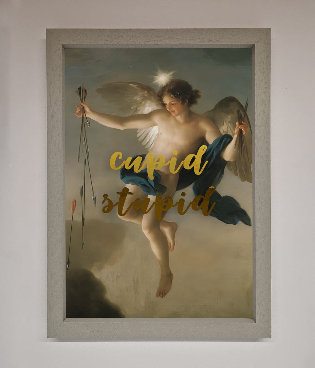 Cupid Stupid Foil Print