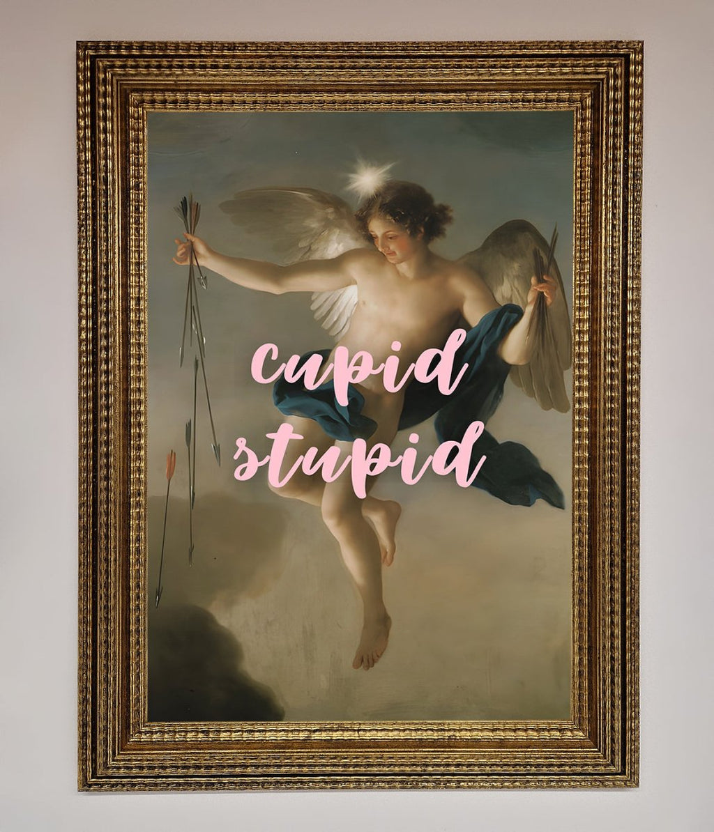 Cupid Stupid Framed Poster