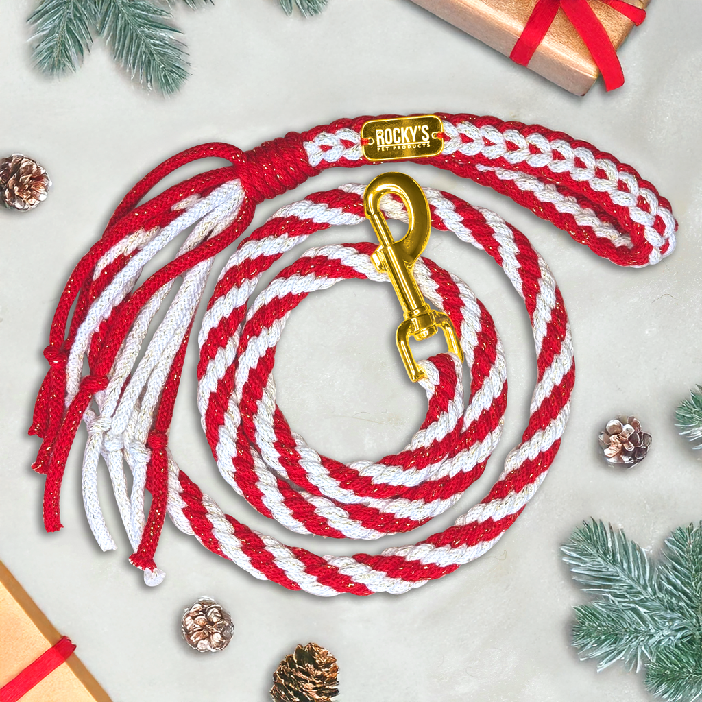 Make Your Own Dog Lead Craft Kit in Candy Cane Sparkle