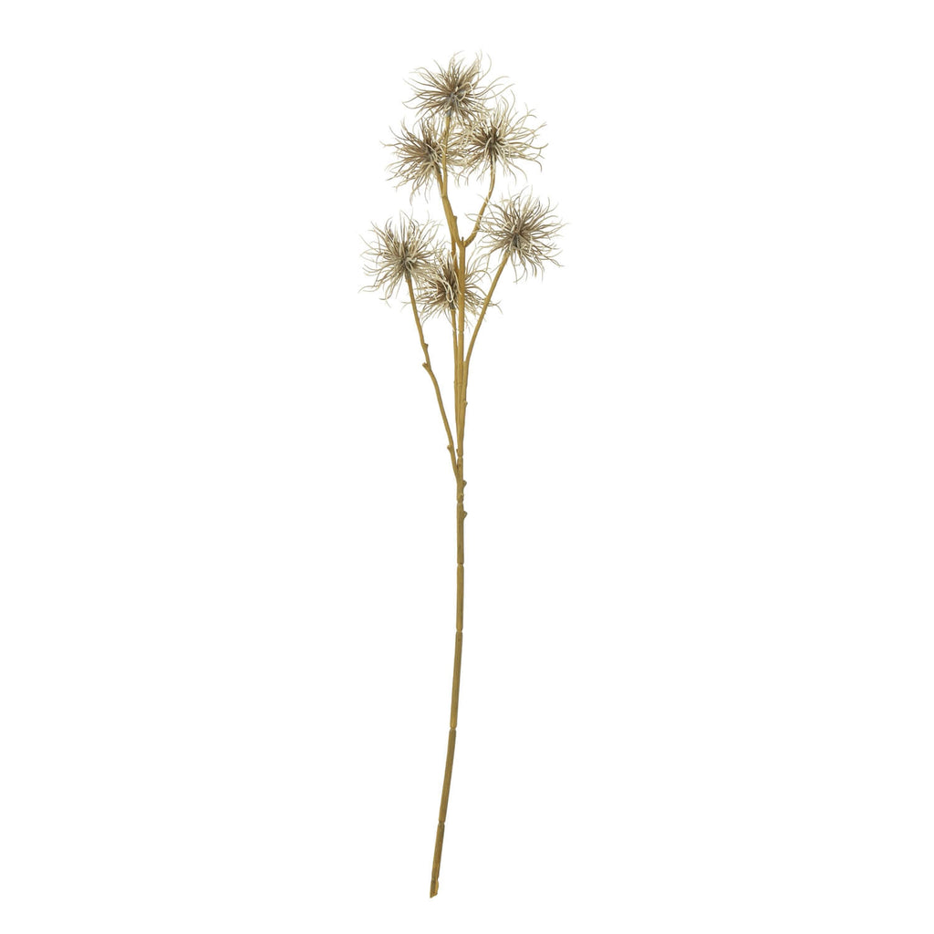 Brown xanthium spray faux floral with wispy blooms, 81 cm tall, for farmhouse or modern decor  

**  
- **Keywords included:** brown xanthium spray, faux floral, wispy blooms, farmhouse decor, modern decor  
- **Clear description:** Visually describes the product's color, texture, and style  
- **SEO & accessibility optimized:** Concise yet detailed for both search engines and screen readers by RoomLondon at brixbailey.com